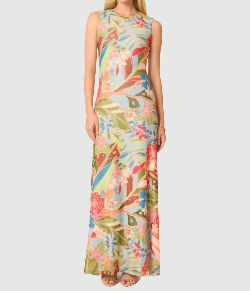 NEW GILNER FARRAR rudie maxi dress in amazonian print
